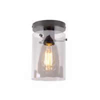 Smart plafondlamp zwart met smoke glas incl Wifi ST64 - Dome