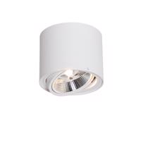Smart plafondspot wit draai- en kantelbaar incl. Wifi GU10 111mm - Rondoo Up